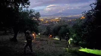 Hatay İl Jandarma Komutanlığı, Narenciye ve Zeytin Bahçelerinde Hırsızlık Olaylarına Karşı Nöbet Tutuyor