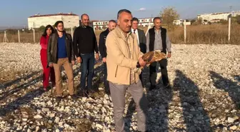 Afyon'da Tedavi Edilen Orman Kartalı ve Şahin Doğaya Salındı