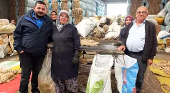 Balıkesir Koyununun Yünü Ülkeye Döviz Olacak