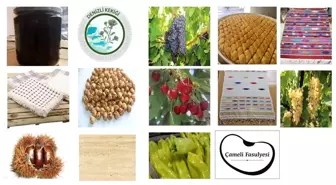 Denizli'de Coğrafi İşaretli Ürünlerin Uluslararası Tescili Projesi Destek Almaya Hak Kazandı