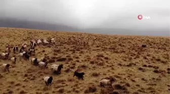 Güvenlik korucuları Cumhuriyetin 100. yılını Nemrut Kalderası'nda kutladı