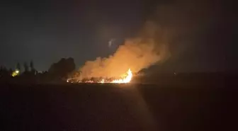 Hatay'ın Dörtyol ilçesinde sazlık alanda çıkan yangın kontrol altına alındı