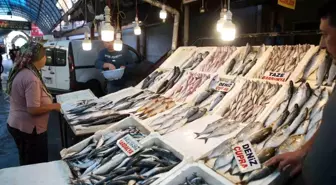 Akdeniz'de Balık Bolluğu: Fiyatlar Düştü, Talep Arttı