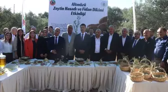 Altınözü Zeytin, Zeytinyağı ve Gastronomi Festivali Yapıldı