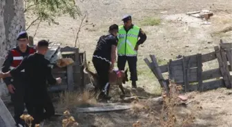 Eskişehir'de Kayıp Şizofren Hastasının Parçalara Ayrılmış Cesedi Bulundu