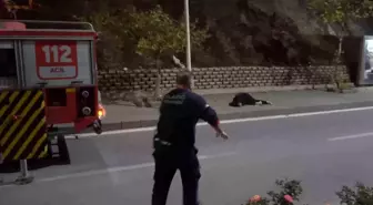 Elazığ'da kayalıklardan atlayan genç kadın ağır yaralandı