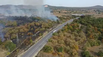 Edirne'de Hamzabeyli Sınır Kapısı yakınındaki yangın söndürüldü