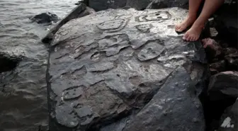 Amazon Nehri'nde Kuraklık Sonucu İnsan Yüzleri Açığa Çıktı