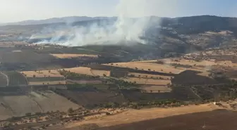 Eskişehir'de Ormanlık Alanda Çıkan Yangın Kontrol Altına Alındı