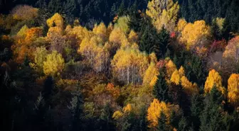 Artvin'in Şavşat ilçesi sonbaharda doğa tutkunlarını ağırlıyor