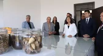 Yalova Valisi Hülya Kaya, Hersek Lagünü Doğa Eğitim Merkezi'ni ziyaret etti