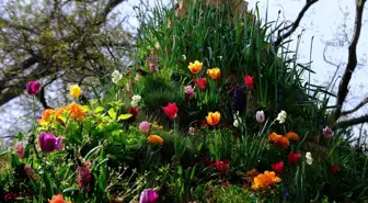 Sakıp Sabancı Müzesi'nde Agnes Denes'in Yaşayan Piramit'i sergileniyor