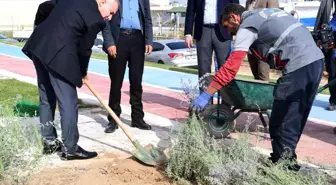 Yeşilyurt Belediyesi, Lavanta Parkı ile Yeşil Alan Miktarını Artırıyor