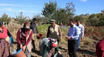 Afyonkarahisar Şuhut Kaymakamı Kadın İşçileri Ziyaret Etti