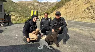 Şemdinli Kaymakamı ve eşi köpek yavrularını sahiplendirdi