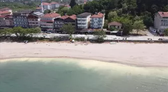 Bartın hangi bölgede, ilçeleri neler? Bartın plaka kodu nedir? Bartın neyi meşhur?