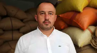 Giresun'da Fındık Fiyatları 100 Lira Seviyelerinde Seyrediyor