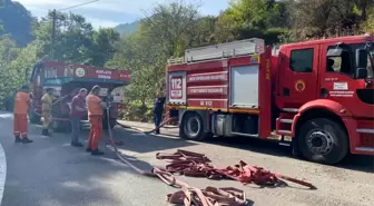 Hatay'ın Hassa ilçesinde çıkan yangın kısa sürede söndürüldü