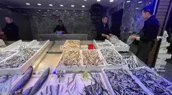 Trabzon'da Hamsi Fiyatları Düşüyor