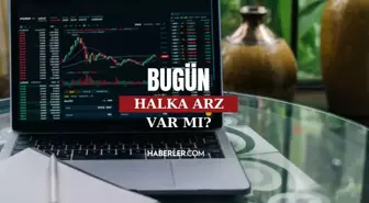 Bugün halka arz var mı 27 Ekim? 23,24,25,26,27 Ekim haftası halka arz olacak şirketler neler? Ekim ayı halka arz takvimi!