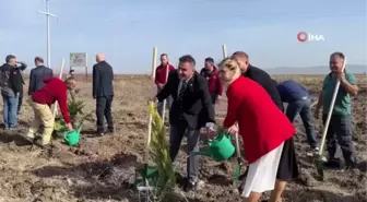 Bandırma Ticaret Odası 100. Yıla Özel 10 Bin Fidan