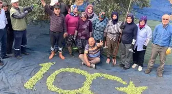 Manisa'da çiftçiler zeytinlerden 100. Yıl logosu yaptı