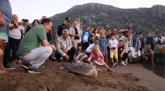 İztuzu Plajı'ndaki Deniz Kaplumbağaları Tedavi Edildi