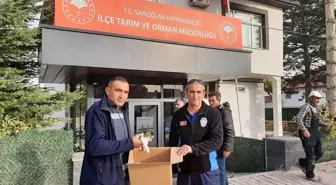 Sarıoğlan'da kırık ayağı bulunan kedi yavrusu tedavi edildi