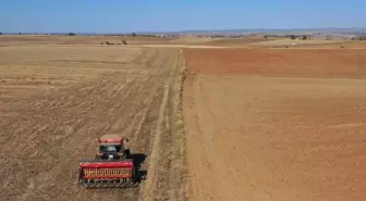 Edirne'de çiftçiler buğday ekimine başladı