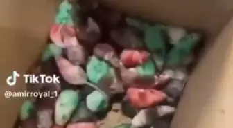 Filistin'e destek için McDonald's şubesine yüzlerce canlı fare bıraktılar