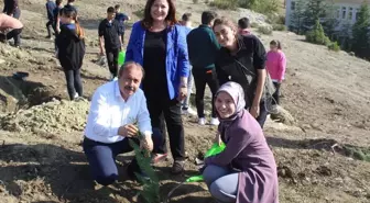 Harmancık'ta cumhuriyetin 100. yılı dolayısıyla 100 fidan yaprakla buluştu