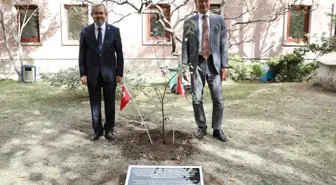 İsviçre Büyükelçisi Ankara Üniversitesi'ne Şam Eriği Fidanı Hediye Etti