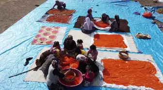 Demirci Tarhanası: Şifalı Bitkilerle Hazırlanan Geleneksel Bir Lezzet