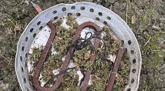 Bafra'da Uyuşturucu Operasyonu: 1 Kişi Gözaltına Alındı