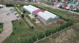 Yalova'da park ve bahçeleri öğrencilerin ürettiği çiçekler süsleyecek