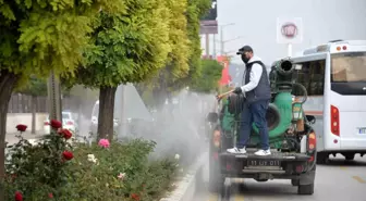 Bozüyük'te Yeşil Alanlarda Yapılan İlaçlama Çalışmaları Devam Ediyor