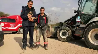 Malatya'da enkaz altında kalan köpek itfaiye tarafından kurtarıldı