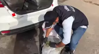 Gaziantep'te Zehir Tacirlerine Operasyon: Bin 926 Şüpheli Yakalandı
