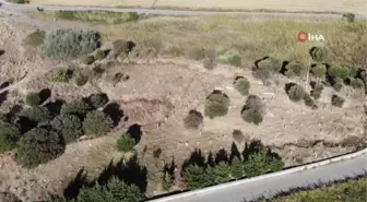 Kumkale'de Türk mezarlığındaki Fransız Anıtı sahte çıktı