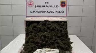 Şanlıurfa'da Uyuşturucu Operasyonu: 35 Kilogram Esrar ve 250 Gram Metamfetamin Ele Geçirildi