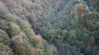 Trabzon'da Sonbahar Renkleri Dron ile Görüntülendi