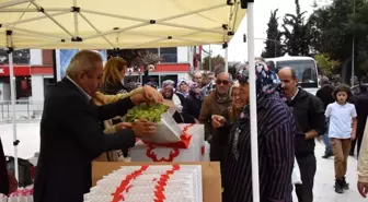 Bilecik Belediyesi Vatandaşlara Marul Fidesi Dağıttı