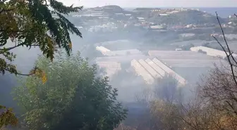 Alanya'da seralara yakın otluk yangını hızlı müdahaleyle söndürüldü