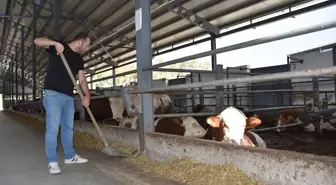 Bursalı 9 kasap kuzen, devlet desteğiyle besi çiftliği kurdu