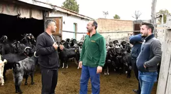 Emet Belediyesi Keçi Sütü ve Peynir Üretimini Teşvik Ediyor