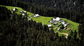 Gümüşhane: Doğanın güzelliğiyle tanışabileceğiniz bir Anadolu ili