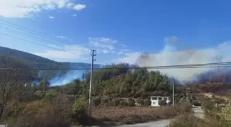 Muğla'da Orman Yangını Kontrol Altına Alınmaya Çalışılıyor