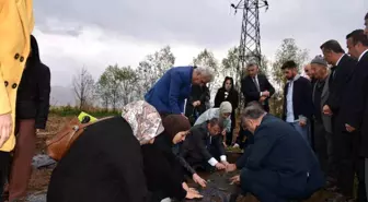 Tarım ve Orman Bakanlığı'ndan Yüksekovalı Kadınlara Hibe Desteği