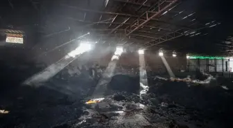 Çanakkale'de çıkan orman yangınında çiftlik kullanılamaz hale geldi