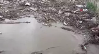 Sel sonrası Menderes Nehri çöple kaplandı